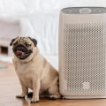 The Best Air Filter for Pet Dander: A Comprehensive Guide