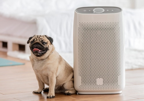 The Best Air Filter for Pet Dander: A Comprehensive Guide